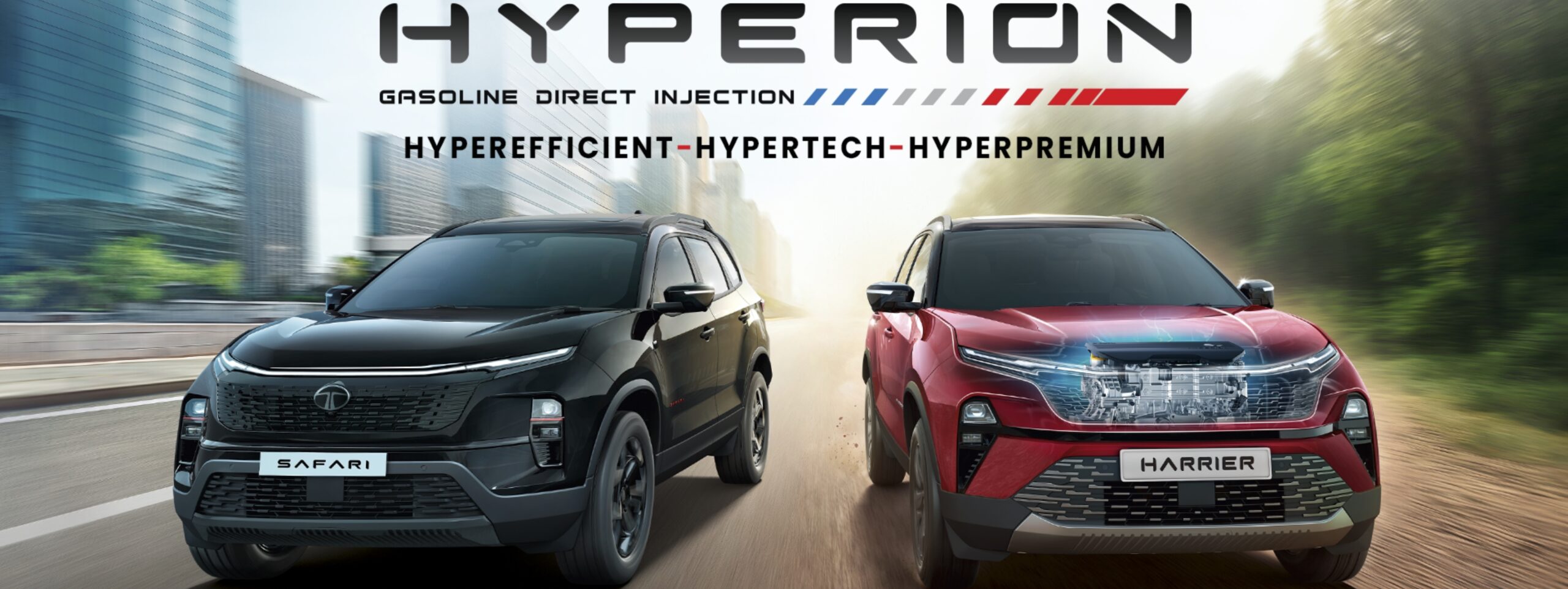 Untitled (2560 x 963 px) (1)